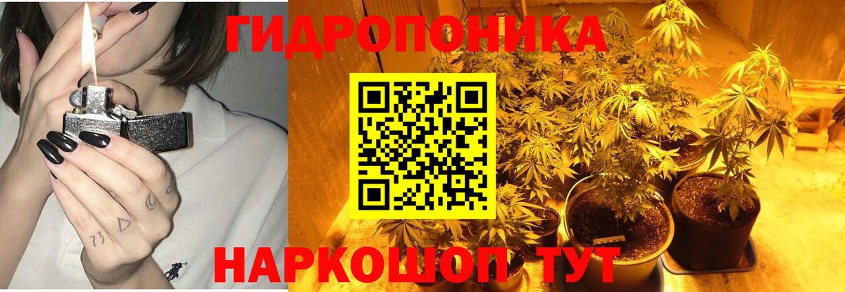 Кисловодск  Бошки Шишки Ganja  Вход с VPN  Бошки марихуана сатива  МАРИХУАНА семена 